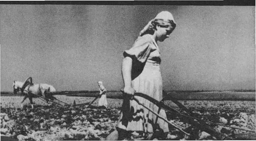 труд женщин и детей в послевоенные годы