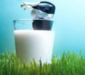 В Беларуси появится молочный напиток