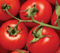 Кулинарный гид: История помидора