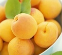 Абрикосы – фрукт с ароматом солнца