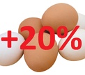 В феврале на 20% подорожают куриные яйца