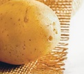Кругосветное путешествие картофеля