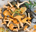Лучшие рецепты с грибами