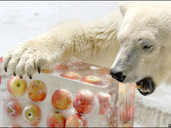 Японское мороженое для русского медведя