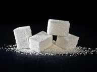 В Бобруйске будет построен сахарный завод