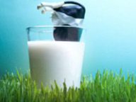 В Беларуси появится "молочный напиток"