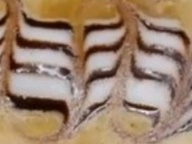Видео дня: Рисунок "зебра" на кофе (Zebra Alfredo)