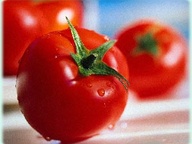 Ученые вырастили помидоры, которые защищают от рака    