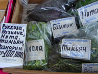 Кулинарные травы и салаты: цена, спрос и предложение!