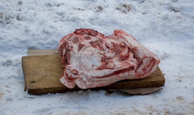 В Беларуси сельчанам запретили убивать своих хрюшек на продажу, а крупные производители свинины жгут туши сотнями