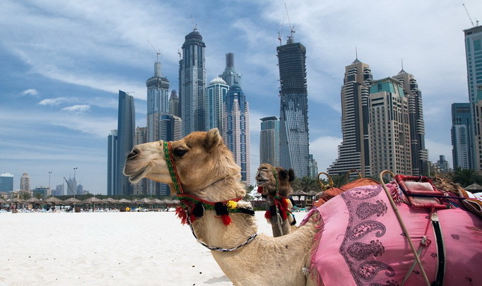 Отдых в Дубае: «Фалафель», «Мачбус», «Самман» и... фонтаны