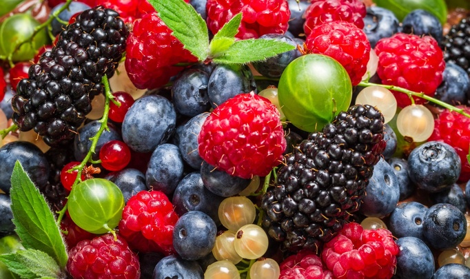 Чем полезны лесные ягоды?